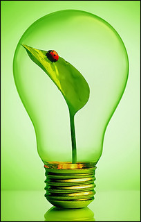 ◘◘◘ "jolies coccinelles" ◘◘◘