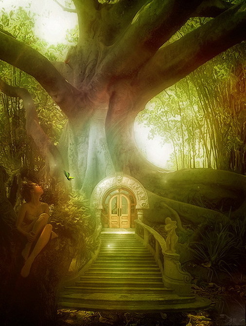 ☆。☆。☆。☆。 "fairy" ☆。☆。☆。☆。