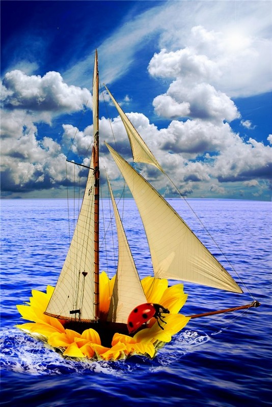 ღﻼღﻼღ "coccinelle" ღﻼღﻼღ