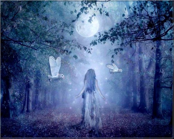 .•° .•° .•° .•°  