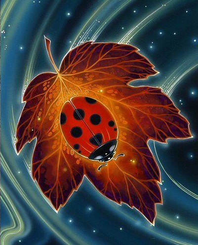 .•° .•° .•° .•°  "COCCINELLE" .•° .•° .•° .•°