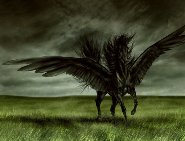 ♠ ♣ ♥ "belle image" ♠ ♣ ♥