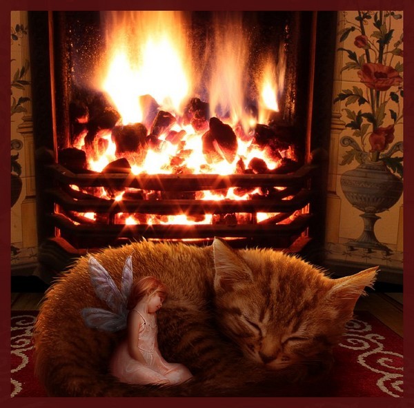 ☆彡★彡☆ "Fairy" ☆彡★彡☆