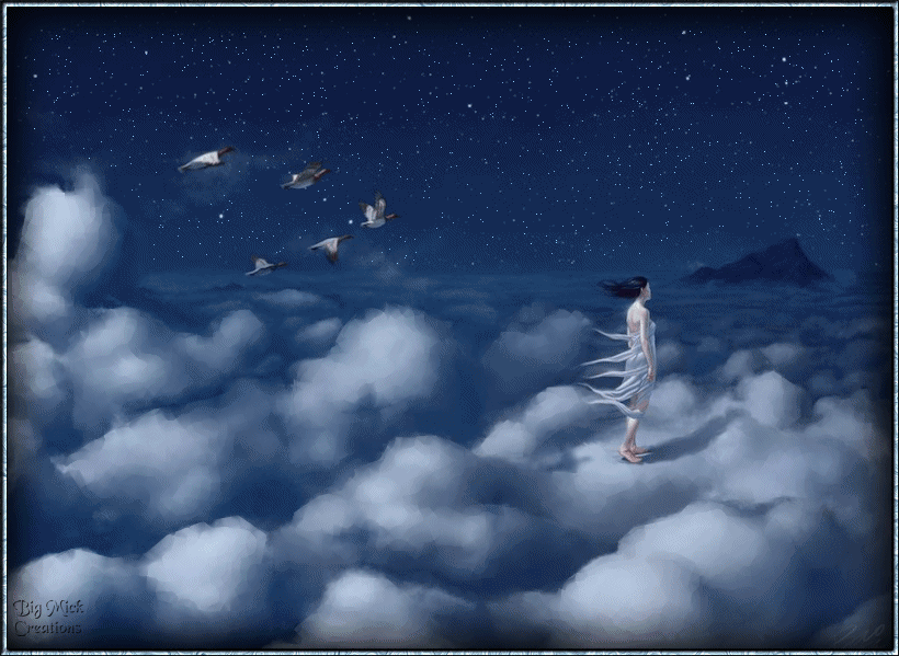 89c5305f.gif