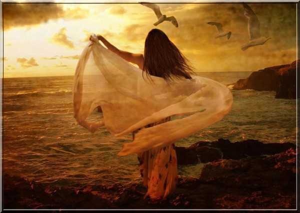 .•° .•° .•° .•°  