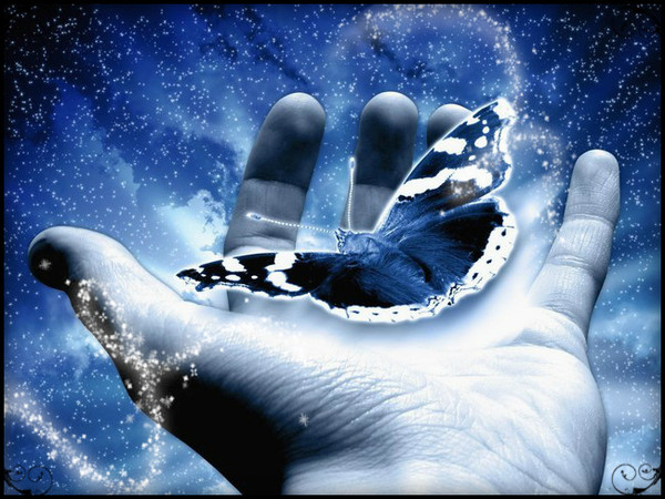 ˜*•.  ♥ ˜*•. "Butterfly" ˜*•. ♥  ˜*•.