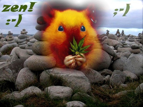 ☺ "zen attitude" ☺