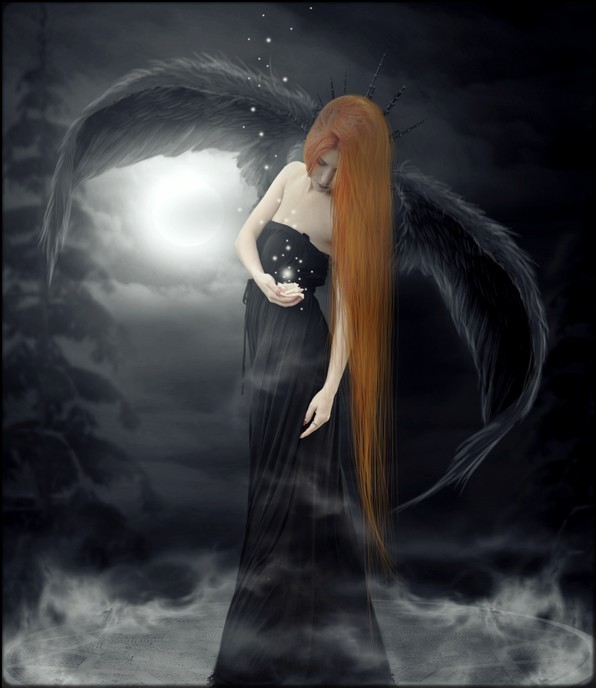 ❥⊱╮❥⊱╮❥ 