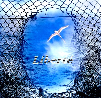 free download Liberte